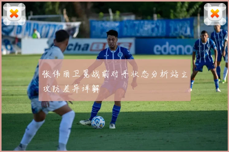 张伟丽卫冕战前对手状态分析站立攻防差异详解