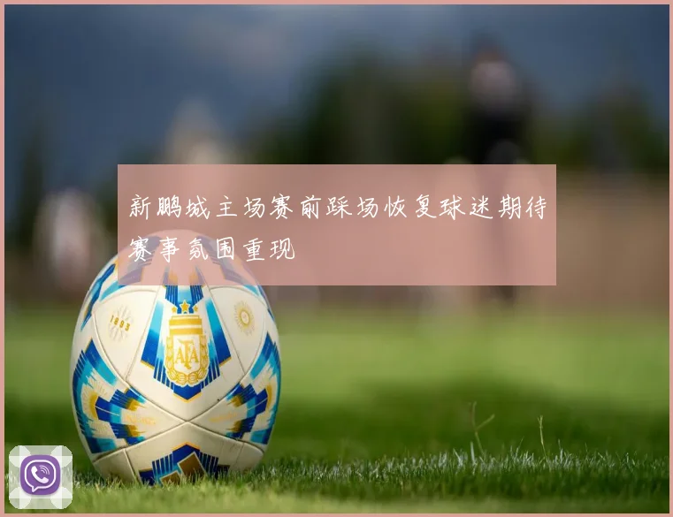新鹏城主场赛前踩场恢复球迷期待赛事氛围重现
